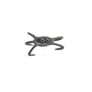 Araña patela